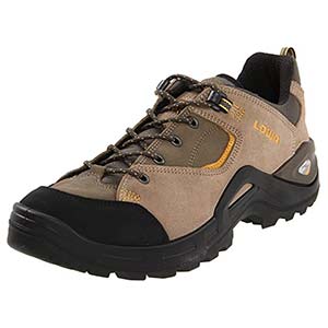 Lowa Men's Tempest LO Walking Shoe